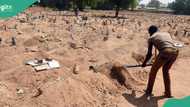 Thieves invade Kano cemetery, cart away gravestones, gates