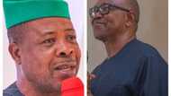 Did Emeka Ihedioha call Peter Obi ‘crafty’? Truth emerges