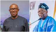 2023 presidency: Battle line drawn as Tinubu makes smart move against Peter Obi