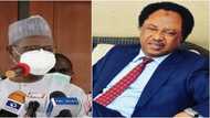 Shehu Sani ya caccaki Masari a kan bai wa tubabbun 'yan bindiga gidaje da gonaki da zai yi