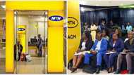 "2kobo each: MTN shareholders choose company’s shares over huge cash reward, gets SEC approval