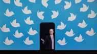 Musk's latest reason to drop Twitter deal - whistleblower payment