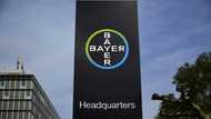 Chemical giant Bayer to cut management jobs after huge loss