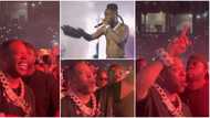 “Looking like a proud dad”: Heartwarming video of Busta Rhymes singing along to Burna Boy performing Last Last