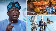 What Nigerian Businessmen Expect From Tinubu's Administration