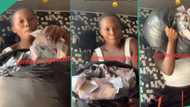 "I wan go buy land for village": Nigerian lady shows off money she picked at club, fills them in bag