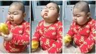 "What's going on here?" Cute baby with plumpy cheeks eats fruit agressively, video goes viral on TikTok