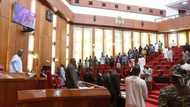 Forensic audit: More allegation over 2019 budget entangles Senate, NDDC