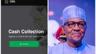 CBN opens portal for Nigerians to deposit Old 500, 1000 naira notes as Buhari Insists on deadline