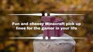 70+ fun and cheesy minecraft pick up lines for the gamer in your life