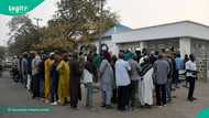 NDIC makes major move as over 10,000 depositors receive N1.48 billion after 47 bank closures