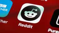 40+ best subreddits to join if you are looking for like-minded people