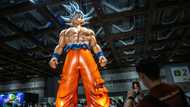 Creator's death no bar to new 'Dragon Ball' products