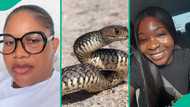 Ifunanya's death: Lady reacts, shares how she found black snake inside her own house