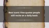 Best iconic Vine quotes people still recite on a daily basis