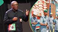 “Businesses are dying”: Peter Obi warns Tinubu to stop ever-increasing Customs duties