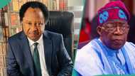 “Loans with demonic conditions”: Shehu Sani urges Tinubu to unsign $150billion Samoa Agreement