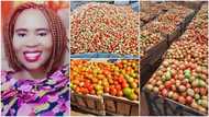 Woman shows off her massive harvest of tomatoes, says farming is beautiful, photos stir reactions