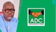 Breaking: Drama as Kachikwu, state chairmen back court verdict against ADC ahead of 2027