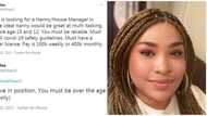 Lady says nanny is needed with driver's license for pay of N100k weekly, many react with their qualifications