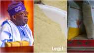 Legit.ng price check: Tinubu gets urgent message as bag of local rice sells for N41,000 in Lagos market