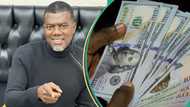 Naira rises against US dollar: Why some Nigerians are indifferent, Reno Omokri explains