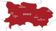 Benue LG elections: PDP wins all 23 chairmanship seats, 276 councillorship positions