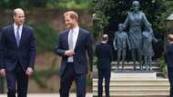 Prince Harry, William put feud aside as they reunite to unveil statue of Princess Diana at Kensington Palace