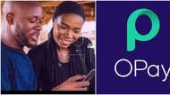 OPay joins Flutterwave on Africa's Unicorn list as SoftBank, others hands it N160 bllion