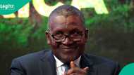 Dangote makes over N3bn in 24 hours, gets new position in world’s billionaire list