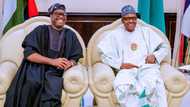 President Buhari holds meeting with Akinwumi Adesina in Aso Rock (photos)