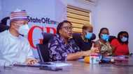 CSOs lament over rising cases of violence against women in Nigeria