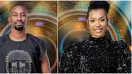 You wept: Nigerians drag BBNaija ex-housemate Saga for saying he never cried for Nini