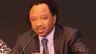 Shehu Sani Ya Fadi Addu'ar da Ya Ji Wani Limami Na Yi Game da Zabe a Masallacin Juma'a