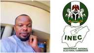 "I voted without being harassed": Nigerian in UK shares interesting details about 2023 UK local election