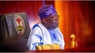 Ministerial List: States of Origin of President Tinubu's 19 nominees revealed