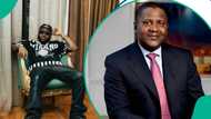 Davido slammed over alleged plans involving Dangote’s company, singer reacts