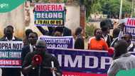 Lawyers, civil rights group commence week 2 of protest against NMDPRA boss "We won't stop”