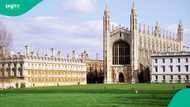 Cambridge professor Jason Arday resigns amid new probe into his qualifications