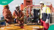 40 Nigerian oil companies face licence expiry risk in June 2025 without renewal