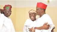 2023 presidency: Tinubu quietly meets Kwankwaso in viral video