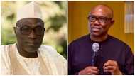 Top former northern governor tells Peter Obi best way to return to PDP