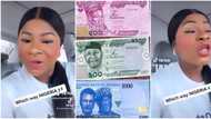 "As things are the rich are also crying": Destiny Etiko laments about fuel and new money wahala, video trends