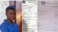 "200 sef no small": 3 clear facts about Mmesoma's leaked official common entrance, JAMB documents