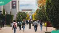 Apply now: University Of Ottawa in Canada offers Nigerian students, others scholarship worth $11m
