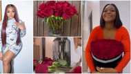 "Saving my roses": BBNaija Lilo gives simple tips to preserve Valentine's Day flower gifts