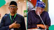 Polymarket predicts Nigeria’s 2027 presidential election winner as users stake money