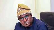 Buhari's aide insists FG is doing its best to tackle insecurity
