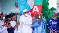 2023 polls: What we intend to do for Tinubu, southwest APC reveals