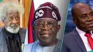 “Tinubu given dose of his own medicine”: Soyinka praises Amaechi during 60th birthday celebration
